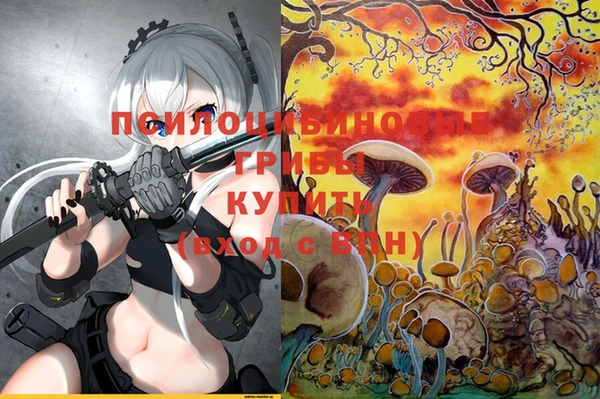 метадон Кодинск