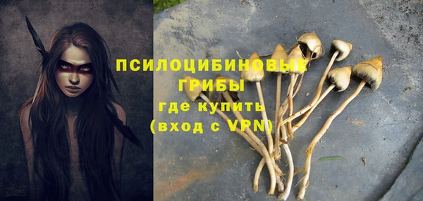 МДМА Карпинск