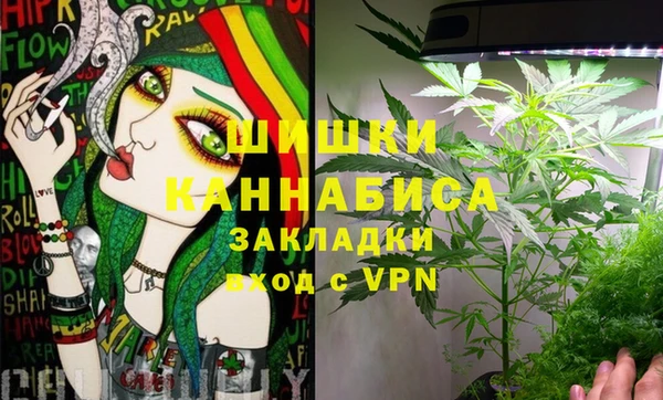 прущая мука Козловка