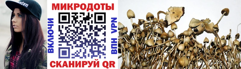 shop телеграм  блэк спрут сайт  Кондопога  Псилоцибиновые грибы Magic Shrooms 